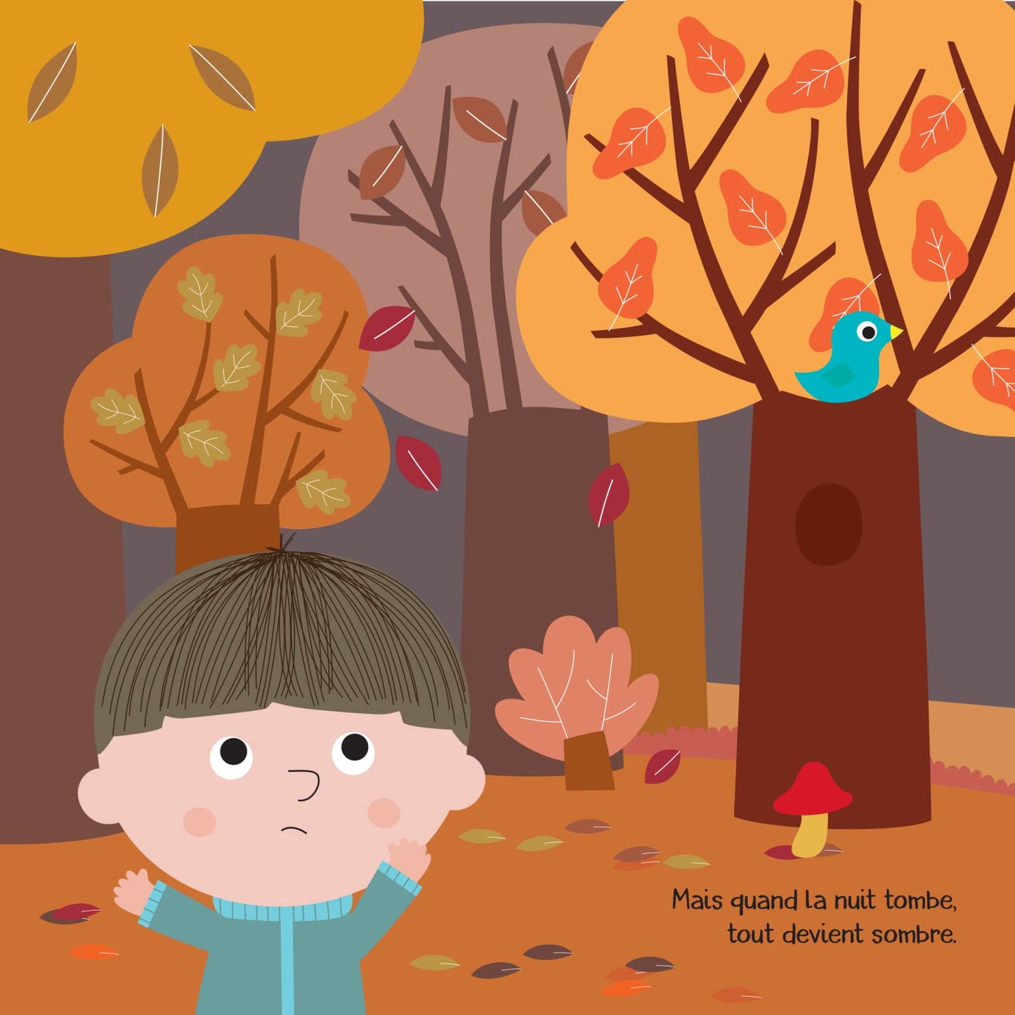 Qu'est-ce que c'est ?: Amuse-toi à reconnaitre les ombres