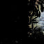 Jardinez avec la lune 2025