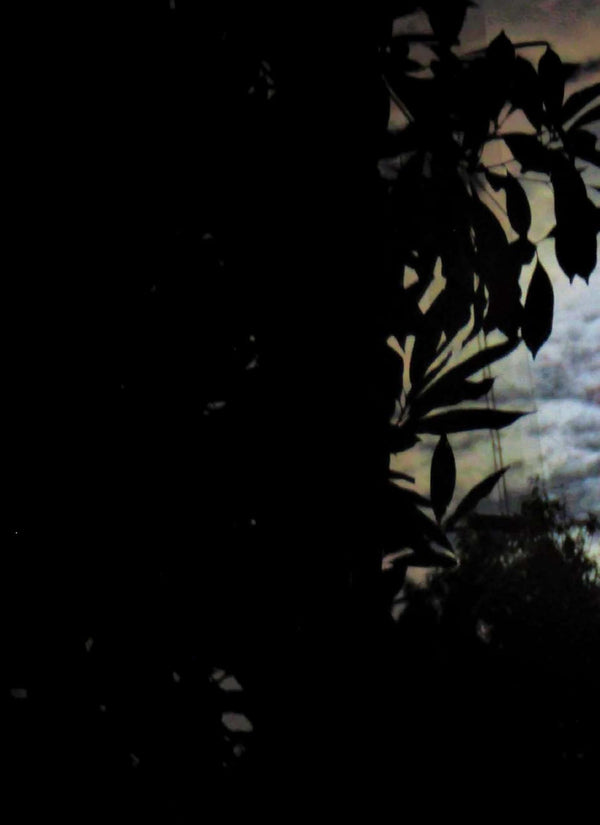 Jardinez avec la lune 2025