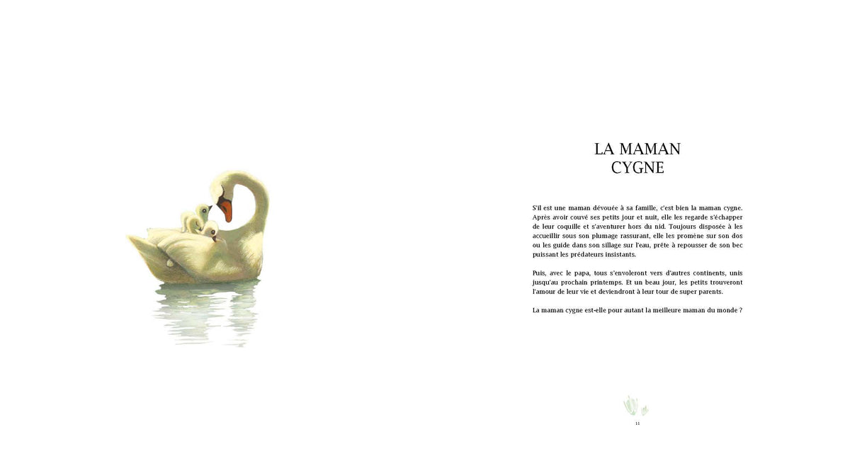 La Meilleure Maman du Monde (N.ED)