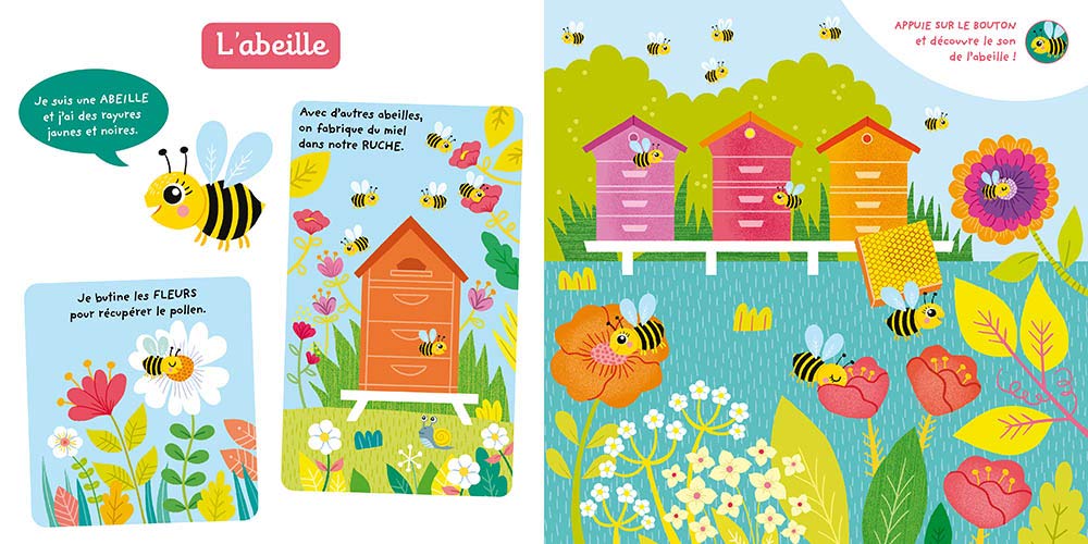 Je découvre les petites bêtes