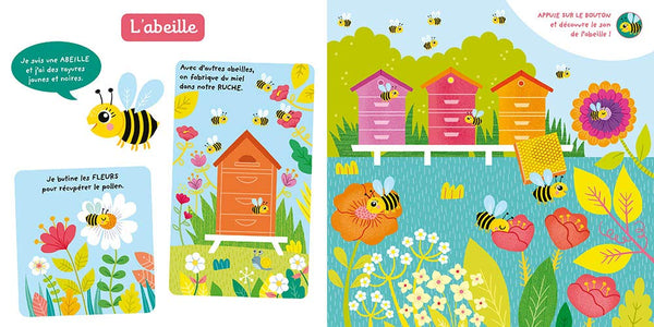 Je découvre les petites bêtes