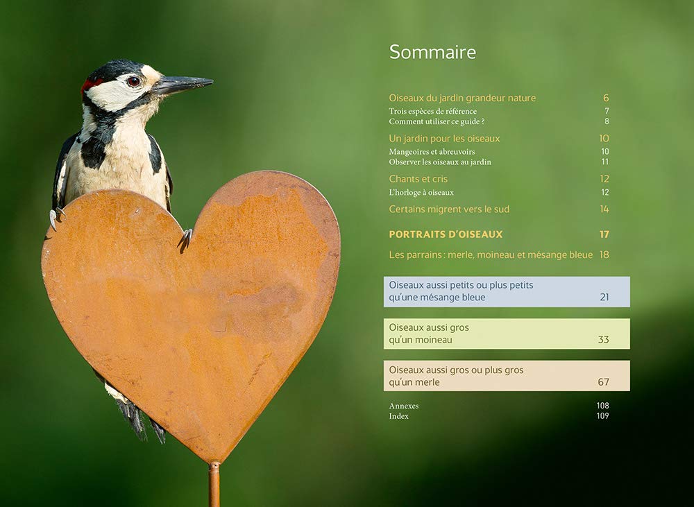 Reconnaître facilement les oiseaux du jardin - Photos grandeur nature