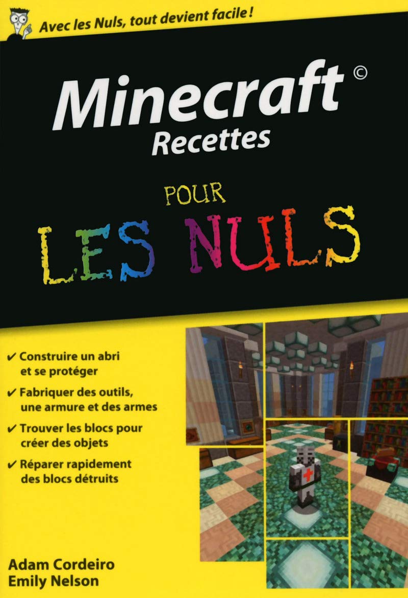 Minecraft Recettes Poche Pour les Nuls