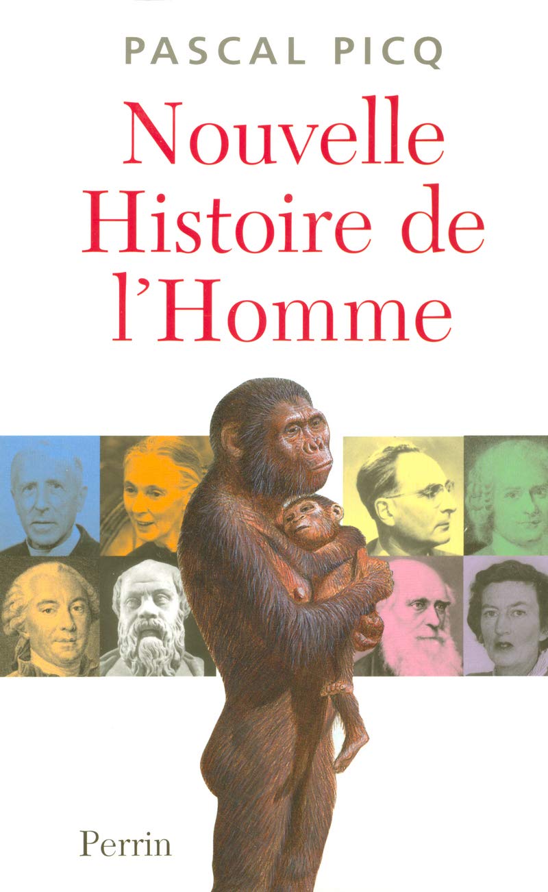 Nouvelle histoire de l'homme