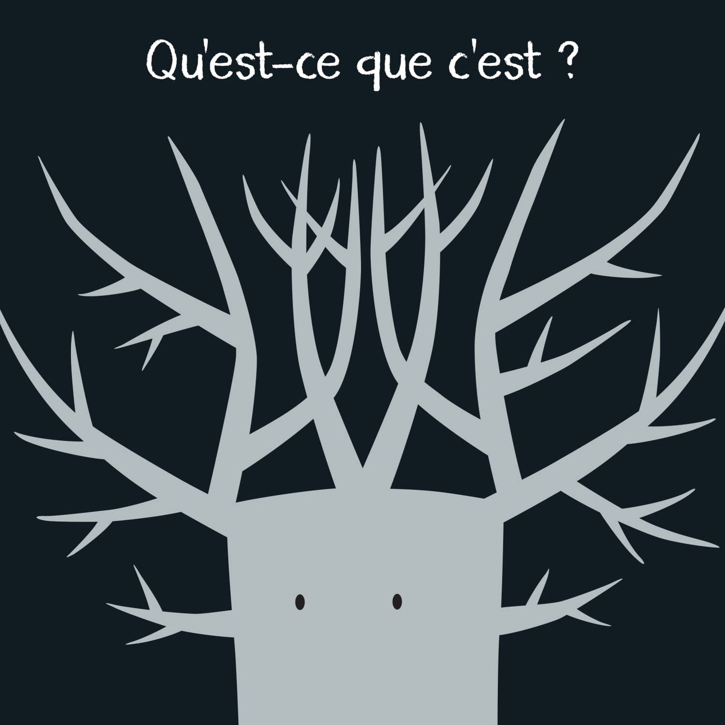 Qu'est-ce que c'est ?: Amuse-toi à reconnaitre les ombres