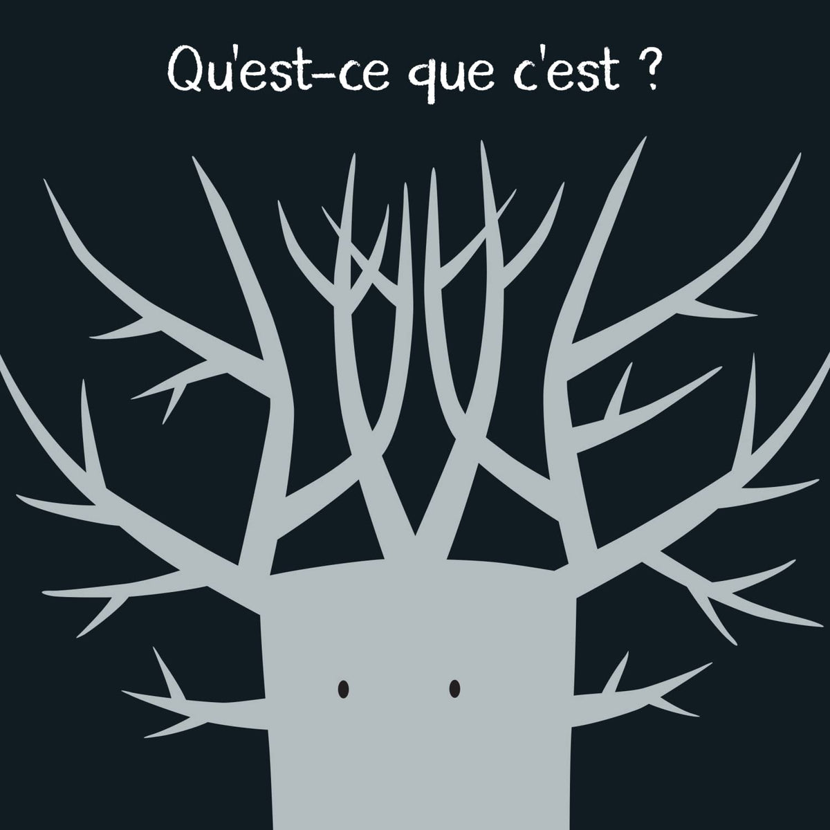 Qu'est-ce que c'est ?: Amuse-toi à reconnaitre les ombres