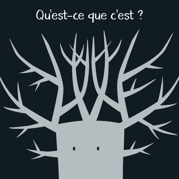 Qu'est-ce que c'est ?: Amuse-toi à reconnaitre les ombres