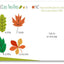 Mes activités en forêt + stickers