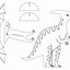 CREATIONS COLOREES - DINOSAURES