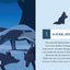 L'APPEL DES LOUPS TOME 6 - LE CHEF DES HURLEVENTS