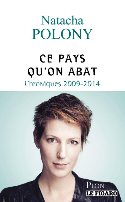 Ce pays qu'on abat: Chroniques 2009-2014