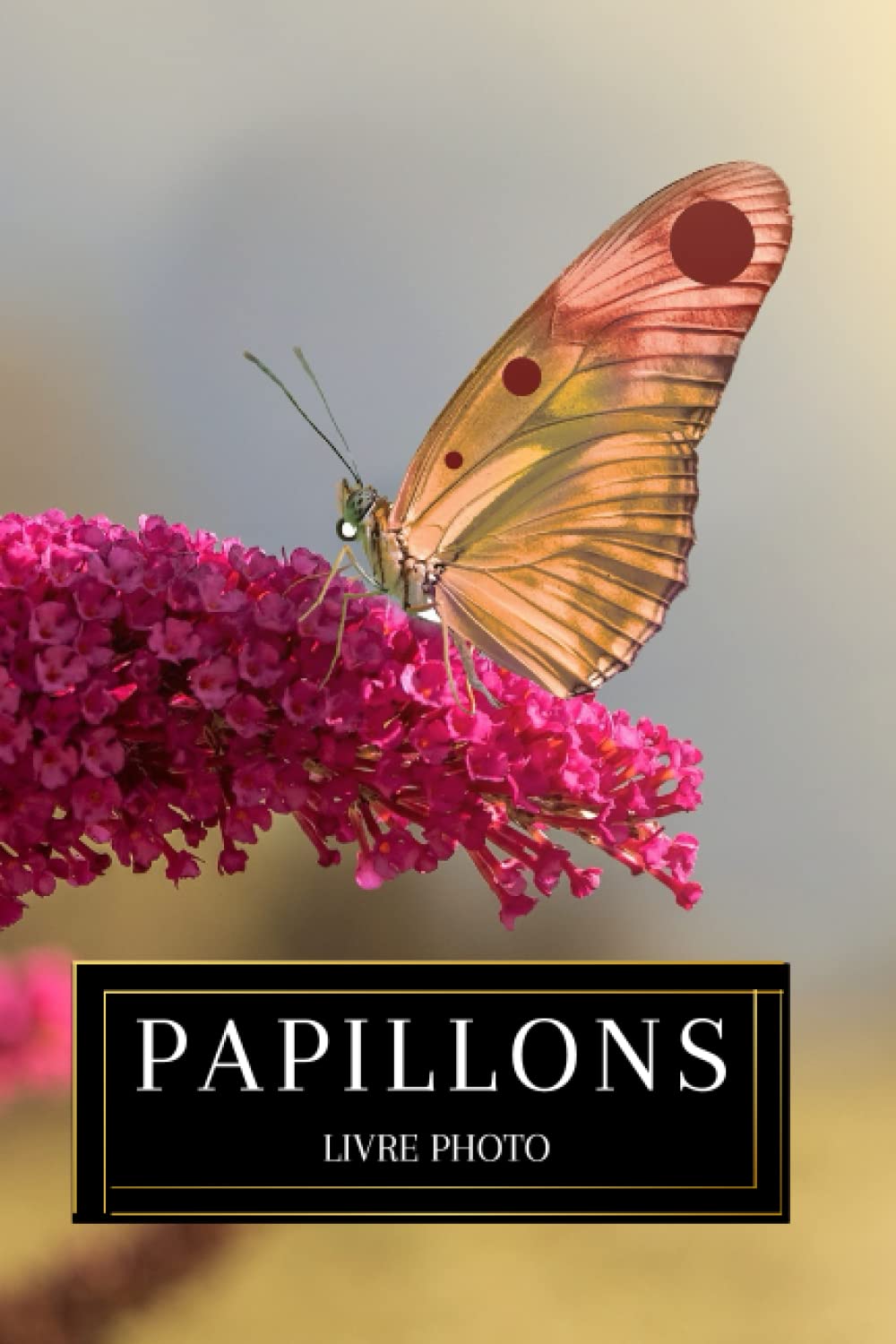 Livre photo des papillons : Cadeau adapté pour seniors et personnes souffrant de démence ou d’Alzheimer – 35 belles images de papillons - Grand format