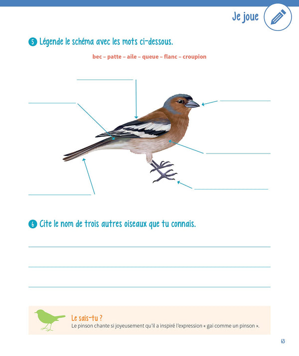 Mon gros cahier de la nature