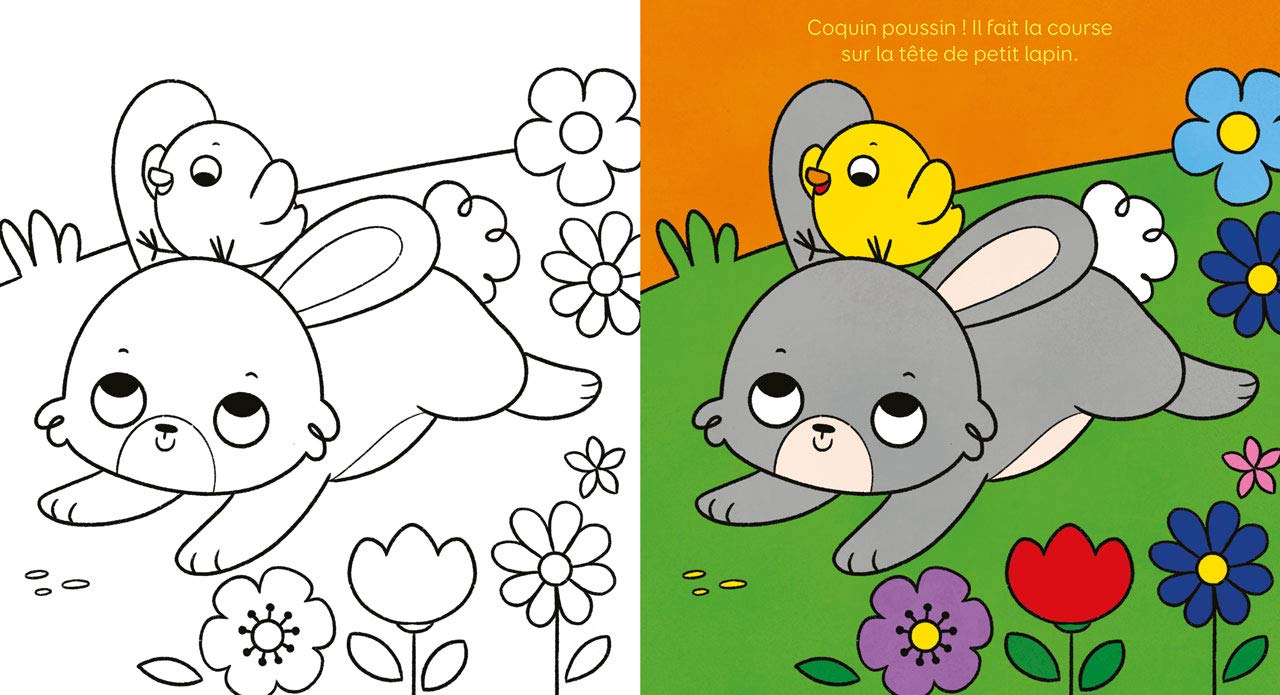 LA JOURNEE DES PETITS ANIMAUX EN COLORIAGE - LA JOURNEE DE PETIT POUSSIN - Dès 4 ans