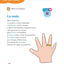 Graphisme Petite section 3-4 ans - A la maternelle: Les premiers apprentissages de la maternelle