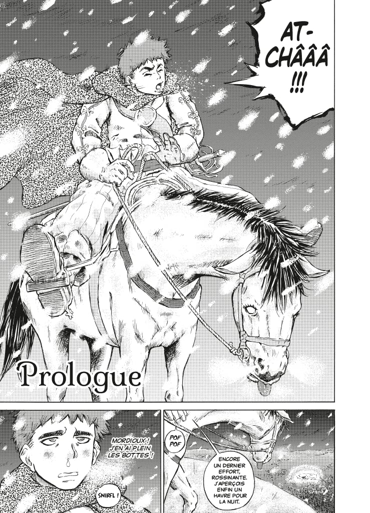 Les Trois Mousquetaires: Le manga-D'Artagnan (1)