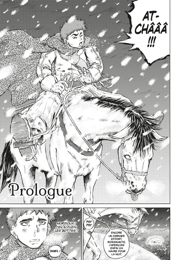 Les Trois Mousquetaires: Le manga-D'Artagnan (1)