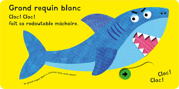 AS-TU PEUR DU REQUIN ?