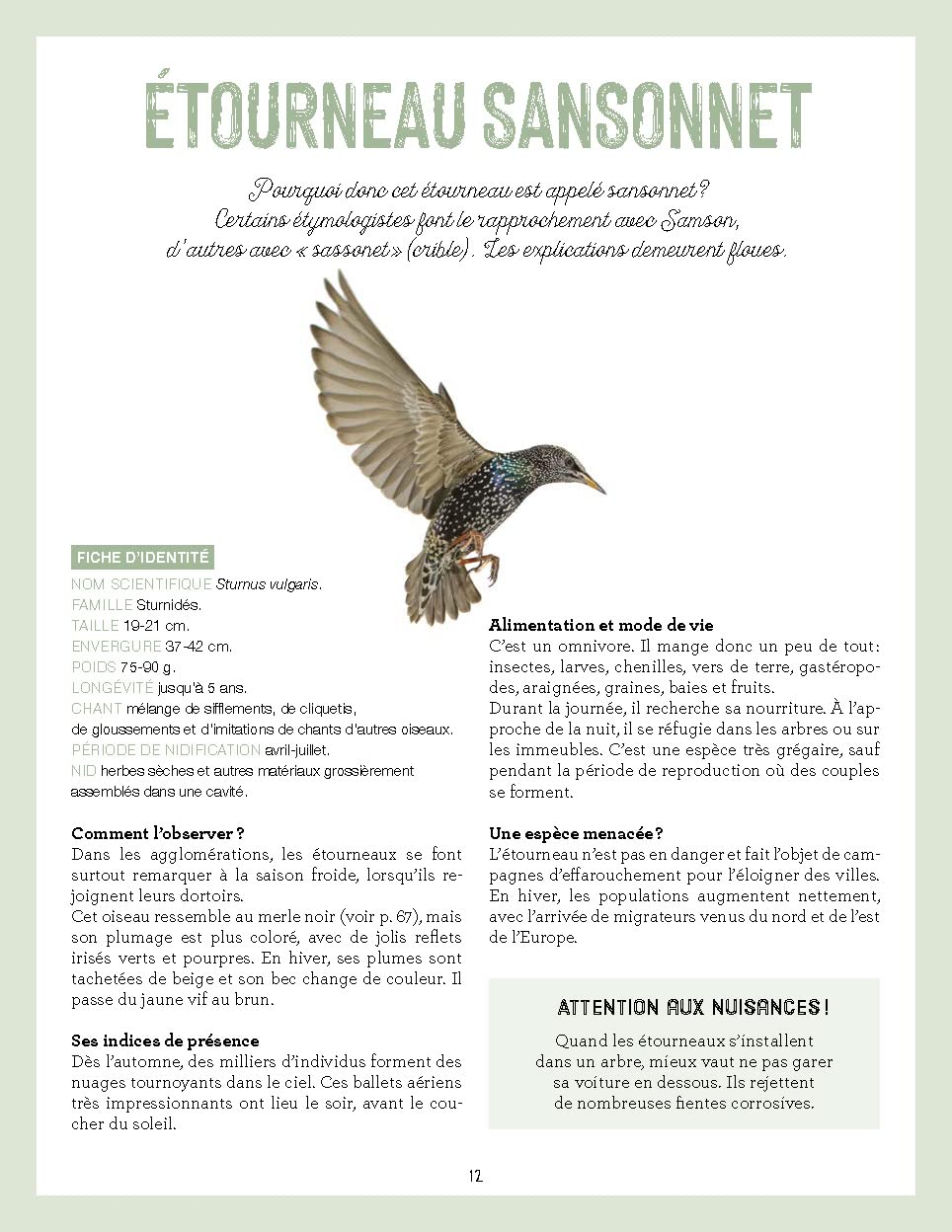 La nature s'invite en ville