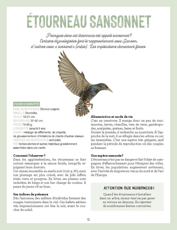 La nature s'invite en ville