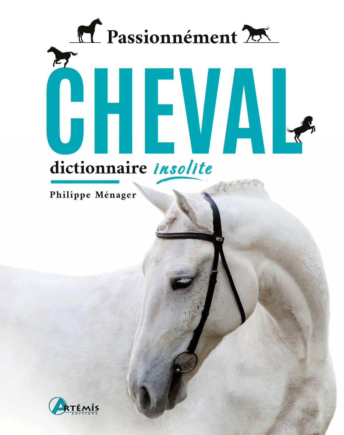 Passionnément cheval: Dictionnaire insolite