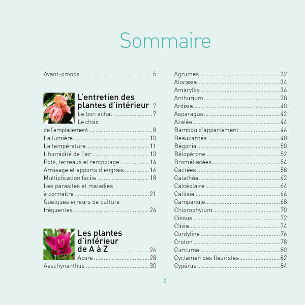Que du bonheur avec mes plantes d intérieur