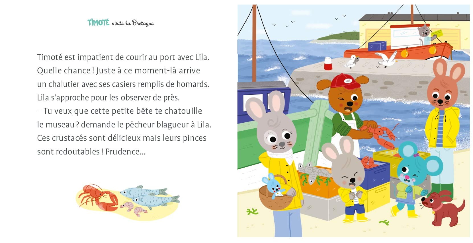Timoté visite la Bretagne – Album jeunesse – À partir de 2 ans