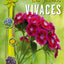 LES PLANTES VIVACES