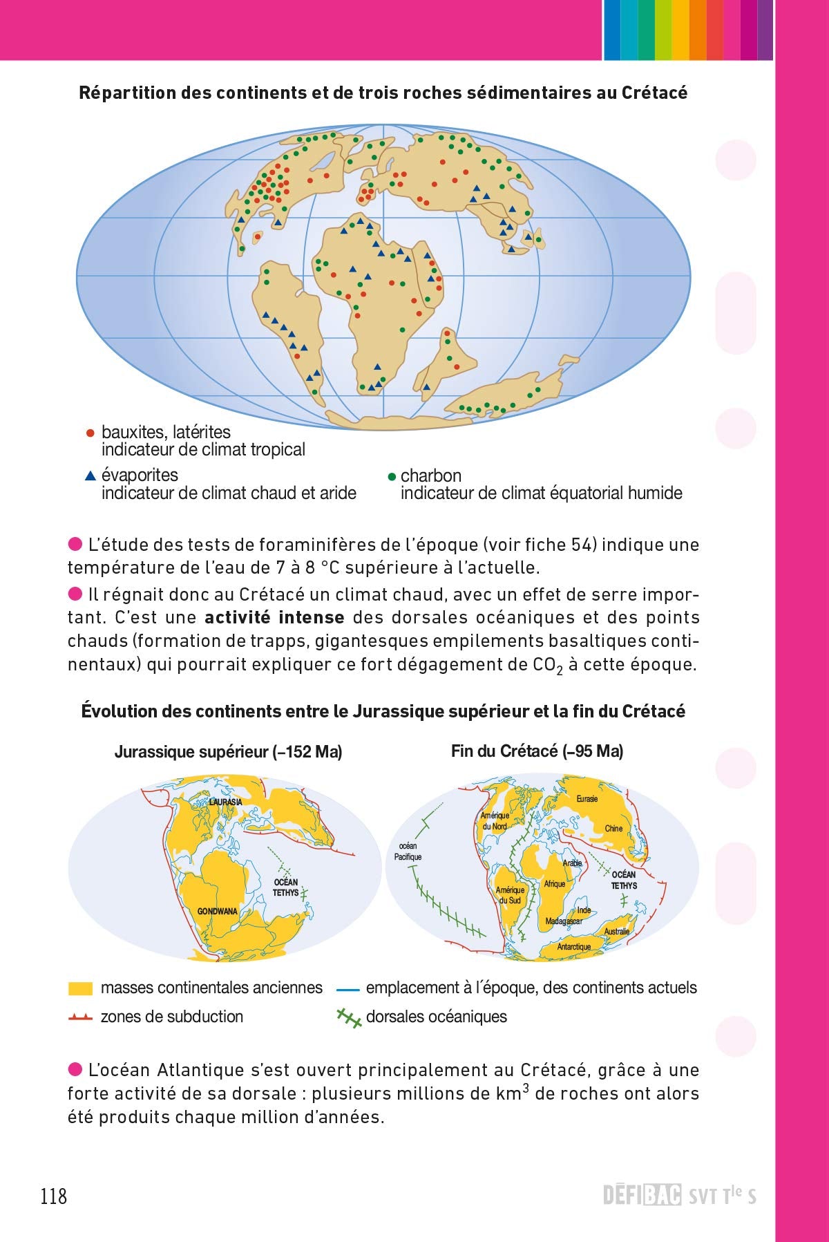 SVT spécifique et spécialité Tle S: Fiches de révision