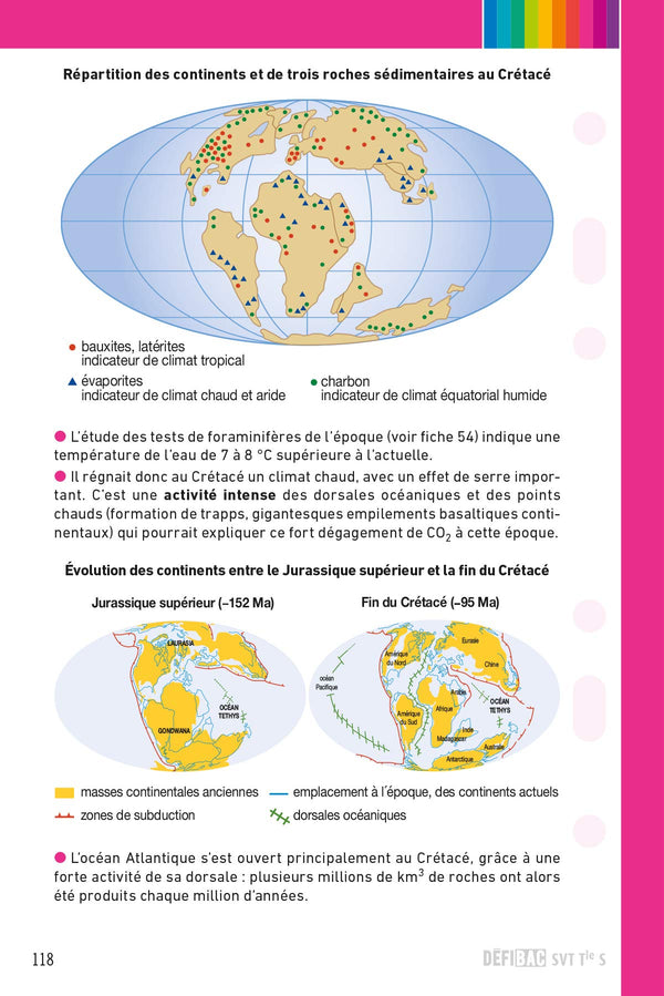 DéfiBac - Fiches de révision - SVT Tle S + OFFERT : vos fiches sur votre mobile