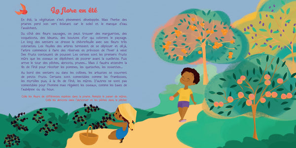 Mon petit carnet d'été