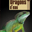 Dragons d'eau
