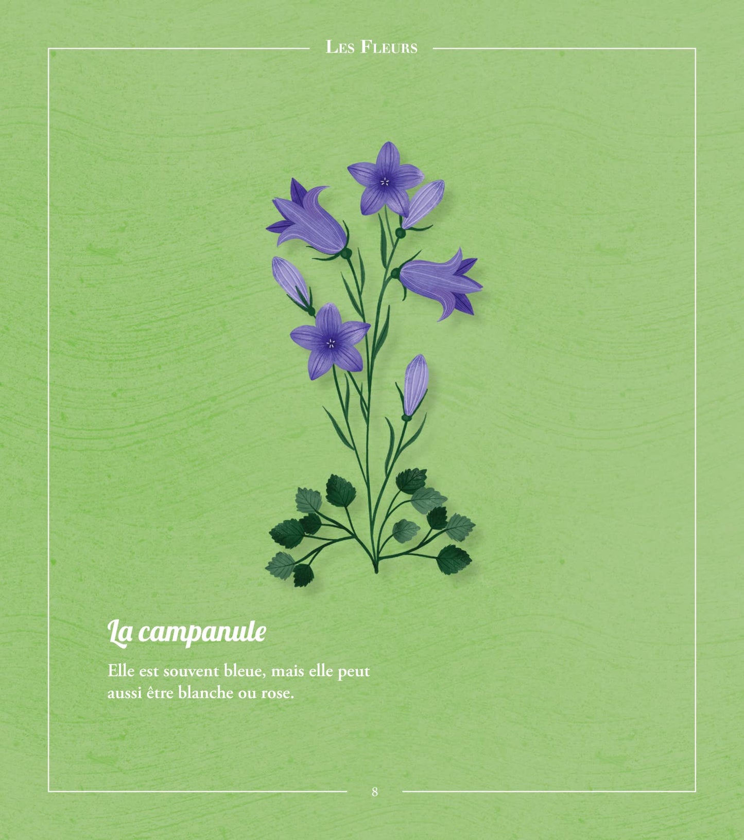 Beautés sauvages : flore