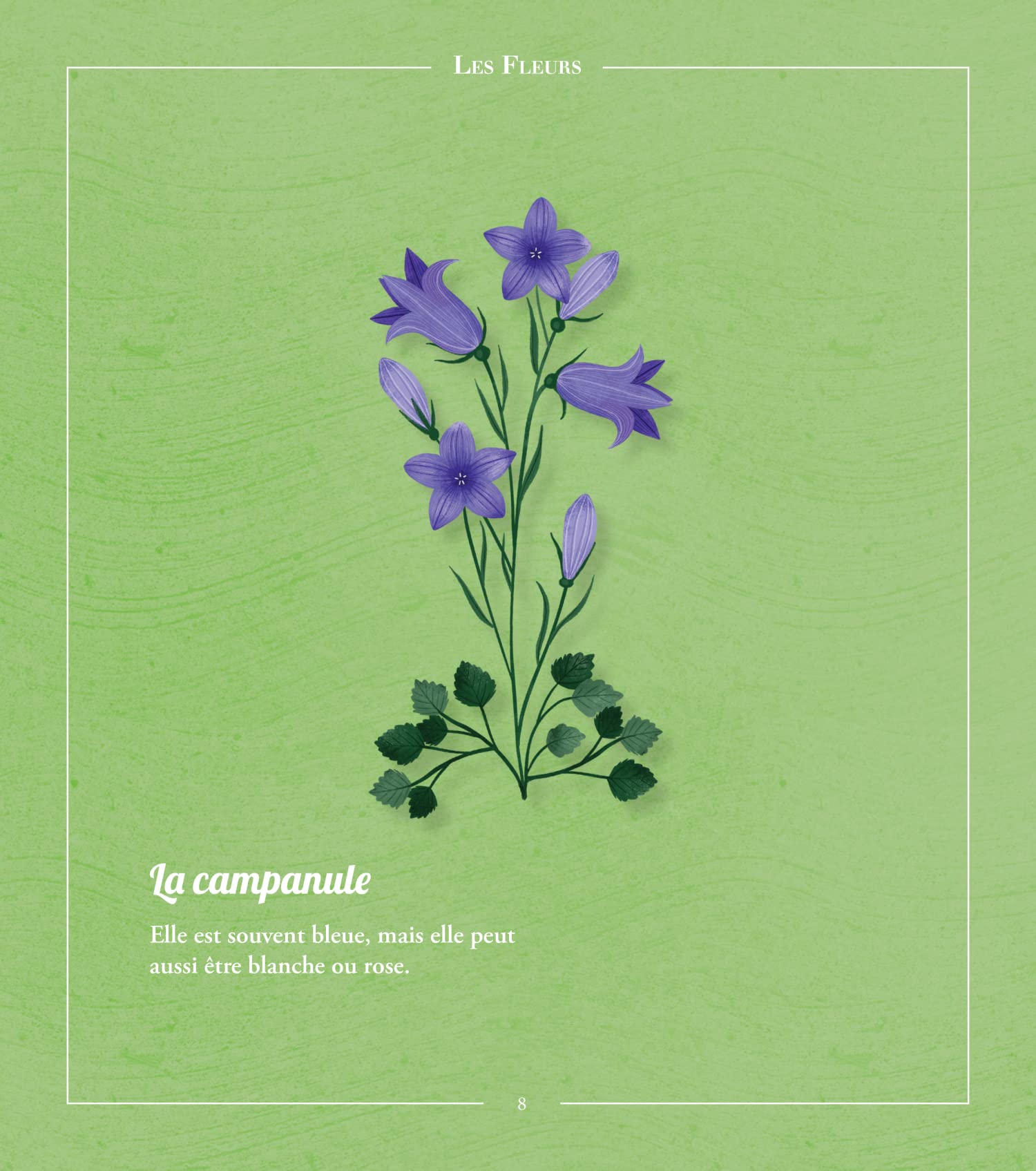 Beautés sauvages : flore