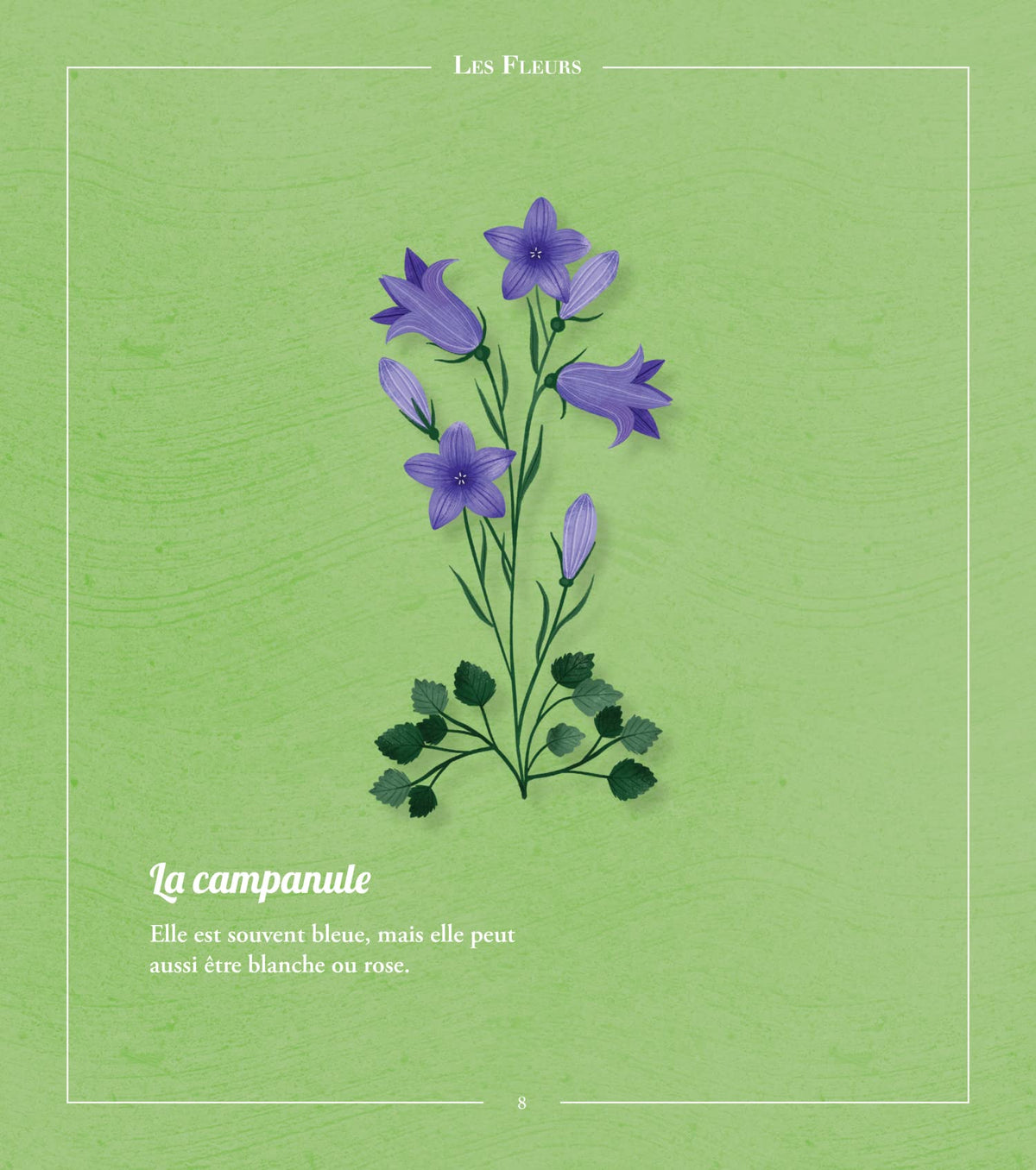 Beautés sauvages : flore