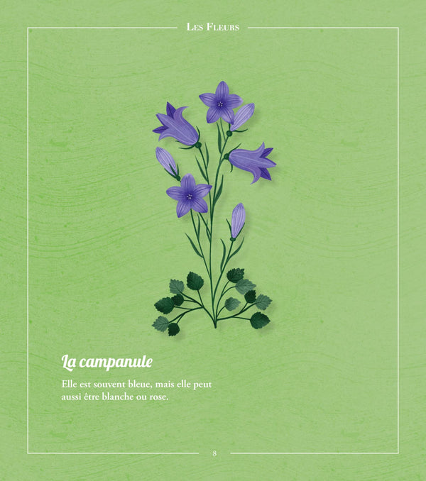 Beautés sauvages : flore