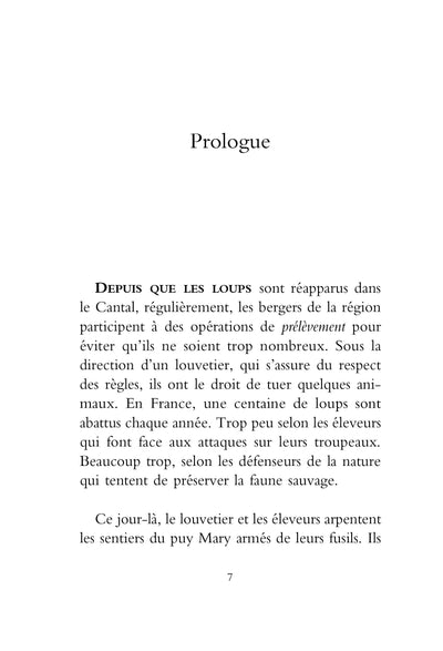 Mystère: Le roman