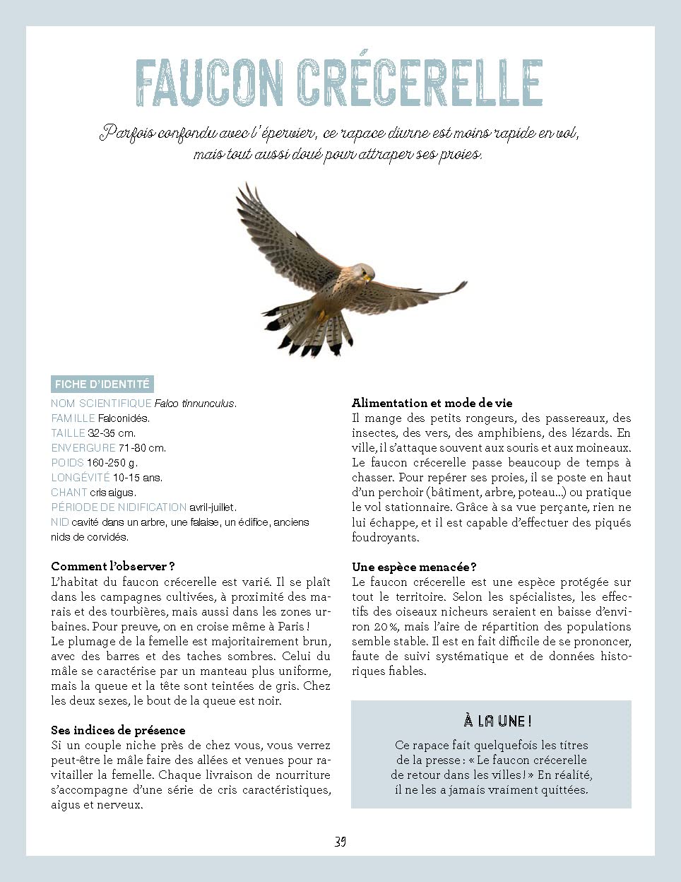 La nature s'invite en ville