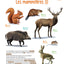 Mon gros cahier de la nature