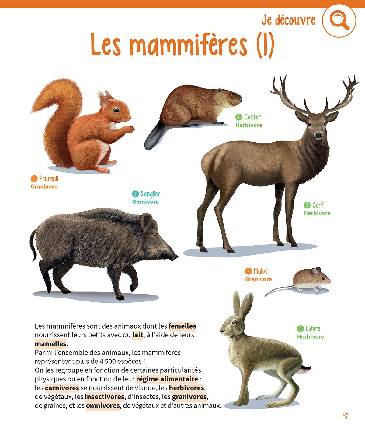 Mon gros cahier de la nature