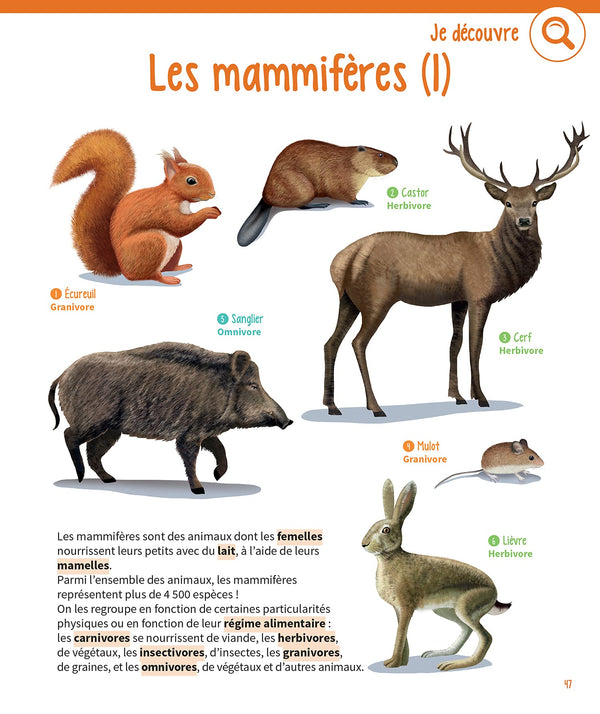 Mon gros cahier de la nature
