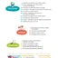 Tout le programme Toute petite section 2-3 ans - A la maternelle: Premiers apprentissages en douceur