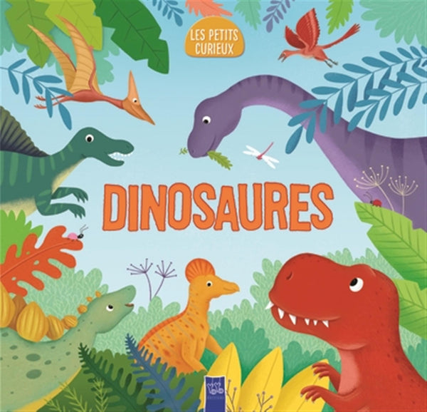 Dinosaures - Les petits curieux