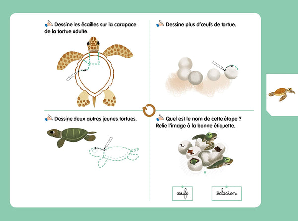 Les livres-ardoises - Les Cycles de vie Montessori