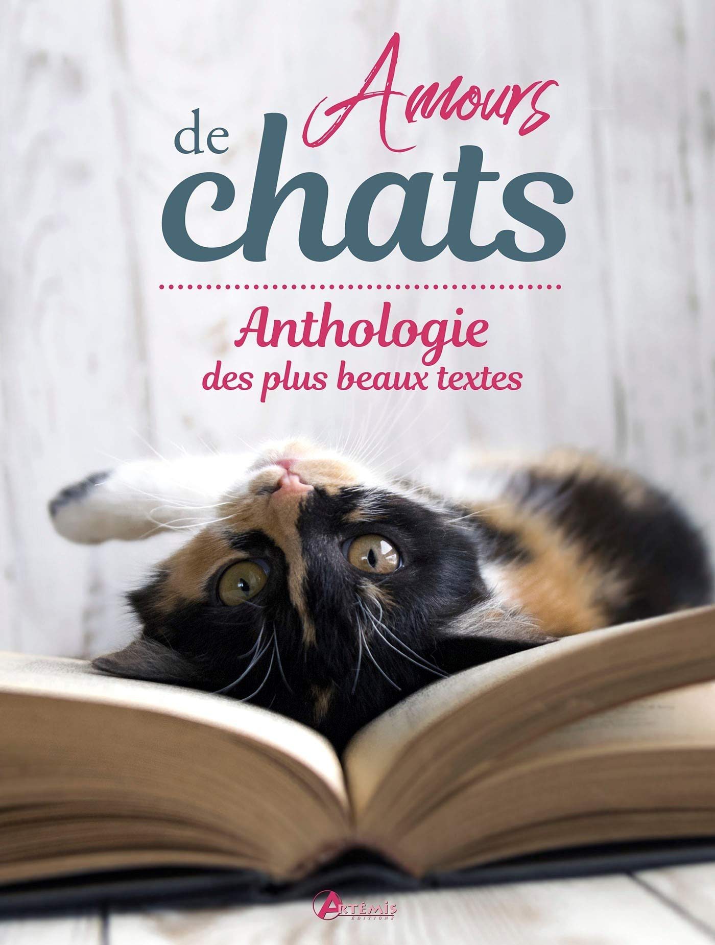 Amours de chats, anthologie des plus beaux textes