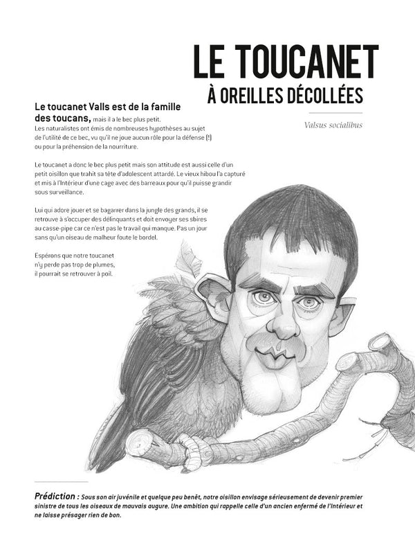 Les emplumés