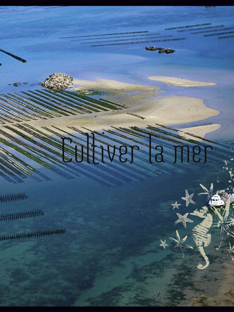 Peuples des mers