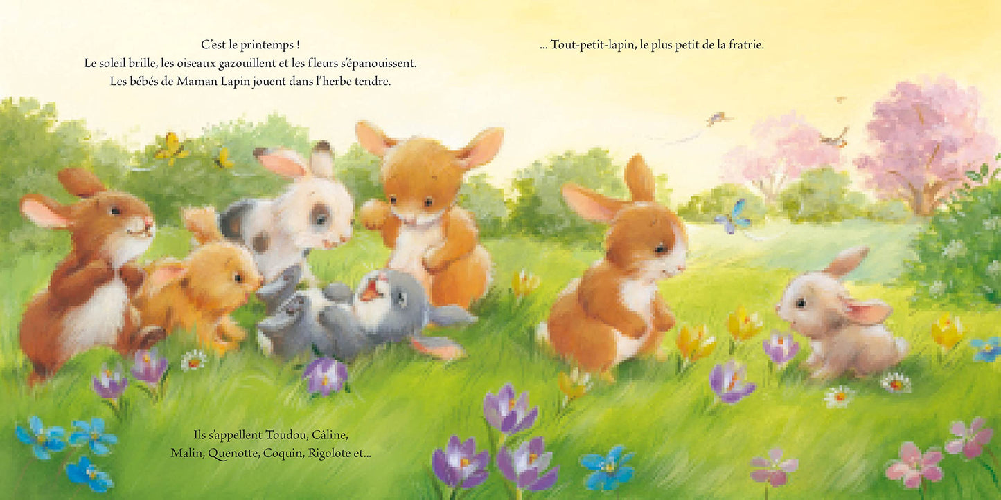 LE TOUT PETIT LAPIN