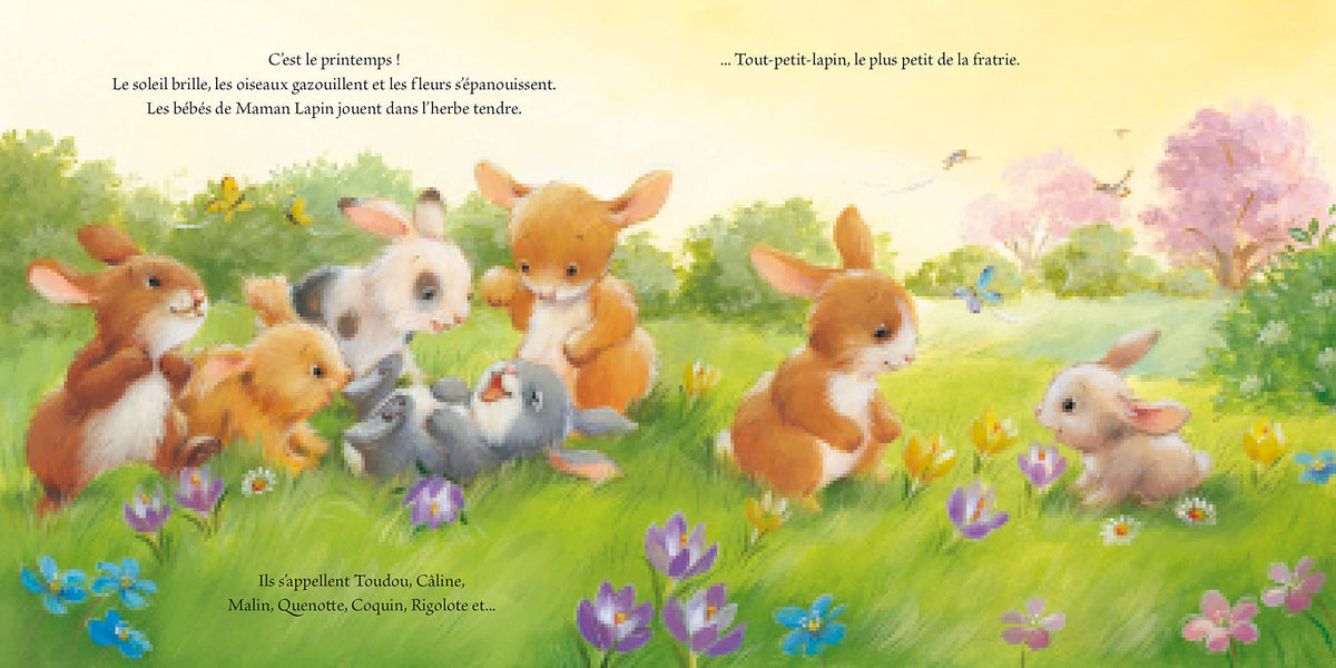 LE TOUT PETIT LAPIN